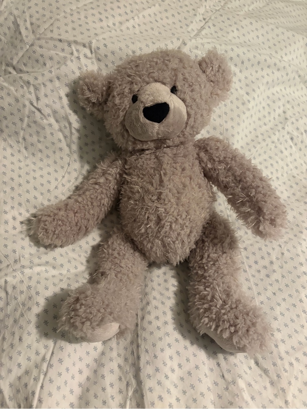 Gund Dijon Teddy Bear 🧸